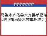 乌鲁木齐乌鲁木齐县单招培训机构(乌鲁木齐单招培训)