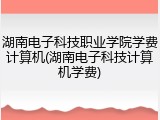 湖南电子科技职业学院学费计算机(湖南电子科技计算机学费)