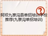 阿坝九寨沟县单招培训学校推荐(九寨沟单招培训)