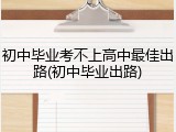 初中毕业考不上高中最佳出路(初中毕业出路)