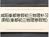 咸阳秦都寒假初三物理补习课程(秦都初三物理寒假班)