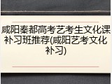 咸阳秦都高考艺考生文化课补习班推荐(咸阳艺考文化补习)