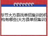 毕节大方县找单招集训的机构有哪些(大方县单招集训)