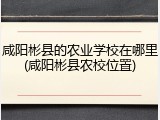 咸阳彬县的农业学校在哪里(咸阳彬县农校位置)