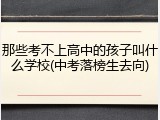 那些考不上高中的孩子叫什么学校(中考落榜生去向)