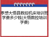 孝感大悟县数控机床培训班学费多少钱(大悟数控培训学费)