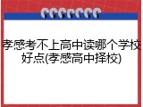 孝感考不上高中读哪个学校好点(孝感高中择校)