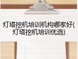 灯塔挖机培训机构哪家好(灯塔挖机培训优选)