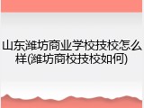 山东潍坊商业学校技校怎么样(潍坊商校技校如何)