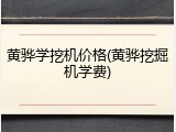 黄骅学挖机价格(黄骅挖掘机学费)