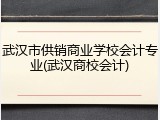 武汉市供销商业学校会计专业(武汉商校会计)