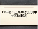11年考不上高中怎么办(中考落榜出路)