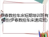 伊春数控车床短期培训班有哪些(伊春数控车床速成班)