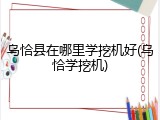 乌恰县在哪里学挖机好(乌恰学挖机)