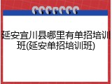 延安宜川县哪里有单招培训班(延安单招培训班)