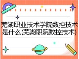 芜湖职业技术学院数控技术是什么(芜湖职院数控技术)