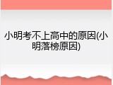 小明考不上高中的原因(小明落榜原因)