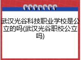 武汉光谷科技职业学校是公立的吗(武汉光谷职校公立吗)