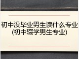 初中没毕业男生读什么专业(初中辍学男生专业)