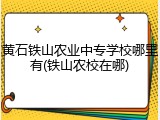 黄石铁山农业中专学校哪里有(铁山农校在哪)