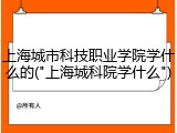 上海城市科技职业学院学什么的("上海城科院学什么")