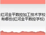 红河金平数控加工技术学校有哪些(红河金平数控学校)