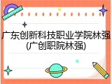 广东创新科技职业学院林强(广创职院林强)
