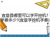 宜章县哪里可以学开挖机?学费多少?(宜章学挖机学费)
