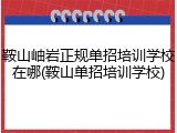 鞍山岫岩正规单招培训学校在哪(鞍山单招培训学校)