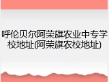 呼伦贝尔阿荣旗农业中专学校地址(阿荣旗农校地址)