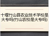十堰竹山县农业技术学校是大专吗(竹山农校是大专吗)