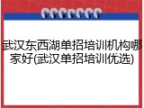 武汉东西湖单招培训机构哪家好(武汉单招培训优选)