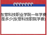东营科技职业学院一年学费是多少(东营科技职院学费)