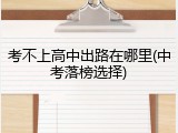 考不上高中出路在哪里(中考落榜选择)