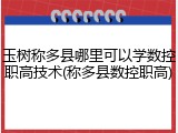 玉树称多县哪里可以学数控职高技术(称多县数控职高)