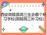 西安高陵县高三生去哪个补习学校(高陵高三补习校)