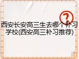 西安长安高三生去哪个补习学校(西安高三补习推荐)