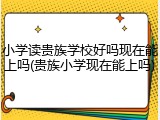 小学读贵族学校好吗现在能上吗(贵族小学现在能上吗)