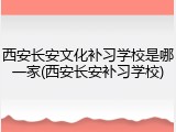 西安长安文化补习学校是哪一家(西安长安补习学校)