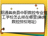 昭通彝良县中职数控专业技工学校怎么样在哪里(彝良数控技校地址)