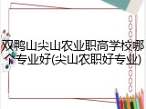 双鸭山尖山农业职高学校哪个专业好(尖山农职好专业)