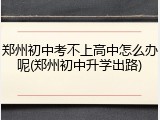 郑州初中考不上高中怎么办呢(郑州初中升学出路)