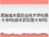 恩施咸丰县农业技术学校是大专吗(咸丰农校是大专吗)