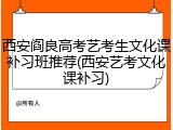 西安阎良高考艺考生文化课补习班推荐(西安艺考文化课补习)