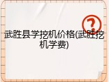 武胜县学挖机价格(武胜挖机学费)