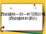 西安碑林一对一补习班价格(西安碑林补课价)