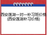 西安莲湖一对一补习班价格(西安莲湖补习价格)