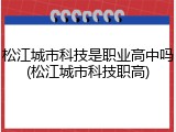 松江城市科技是职业高中吗(松江城市科技职高)
