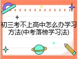 初三考不上高中怎么办学习方法(中考落榜学习法)