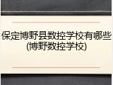 保定博野县数控学校有哪些(博野数控学校)